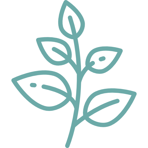 Natural Herbs